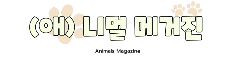 니멀 메거진